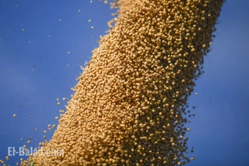 China Purchases U.S. Soybeans Ahead of Critical Trump-Xi Meeting