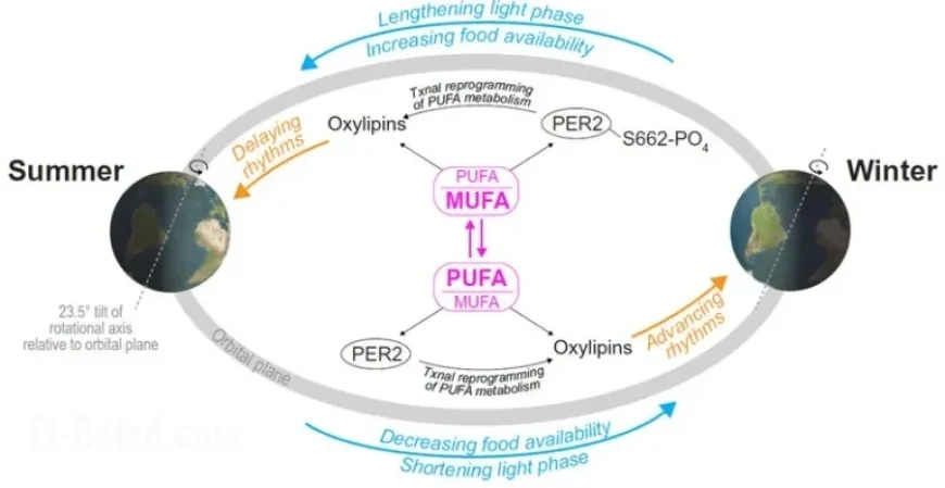 What Your Body Craves During the Transition to Autumn