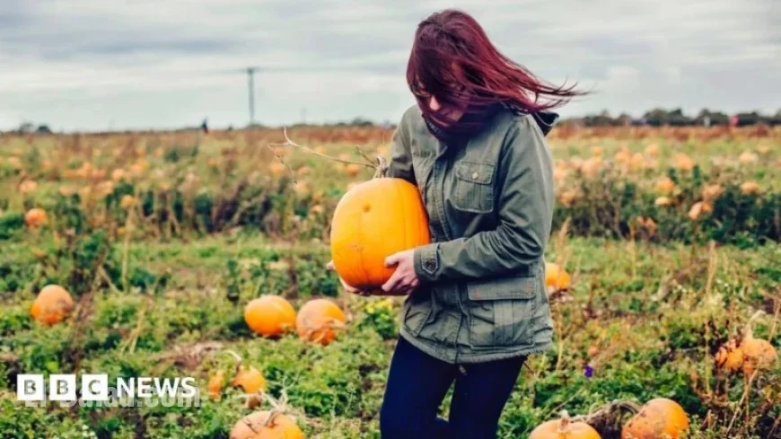 Wind Warning Forces Cancellation, Rescheduling of Halloween Events