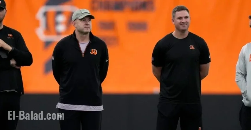 Bengals Urged to Revamp Team After Loss to Jets