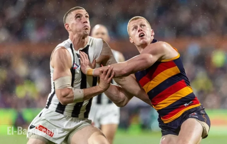 Key Rule Changes to Impact 2026: Watch Examples Now