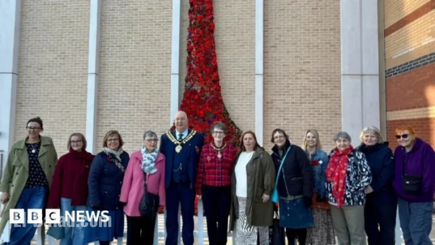 Handcrafted Poppy Display Unveiled for Remembrance Day Tribute