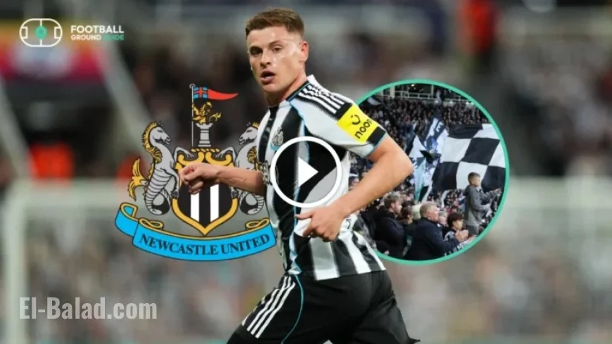Newcastle Fans Celebrate Harvey Barnes with Unique Song: Lyrics and Story