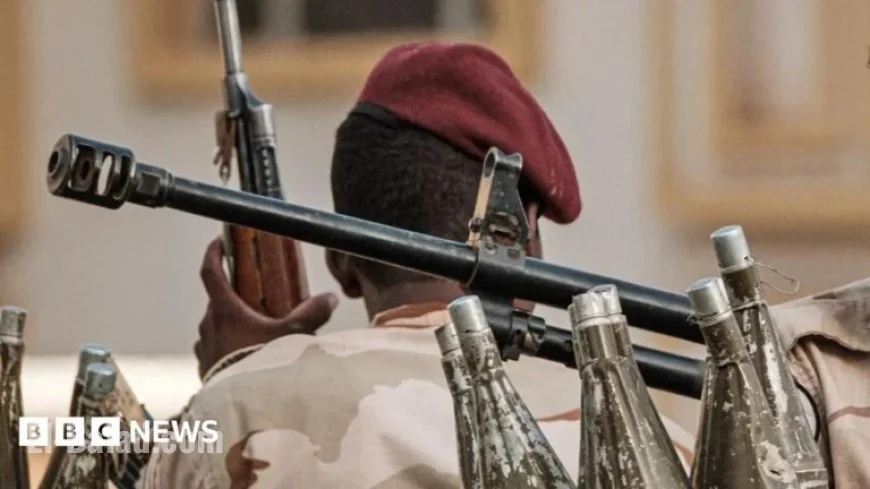 WHO Chief Condemns Mass Killings Reports at Sudan’s El-Fasher Hospital