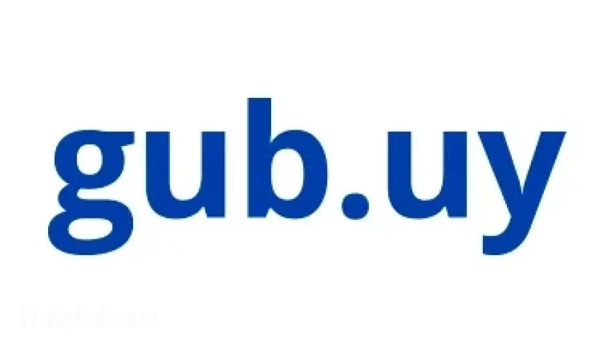 Why Was Racing vs. Flamengo’s Copa Libertadores Match Delayed?