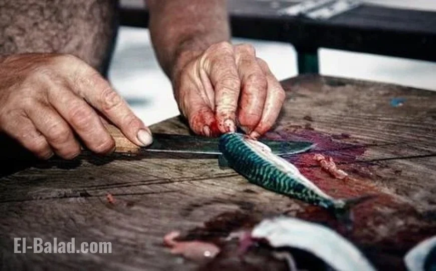 Busan Celebrates Mackerel Festival from October 31 to November 2
