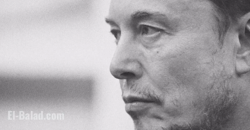 Elon Musk’s Wikipedia Critique: Views on Hitler, Putin, Apartheid