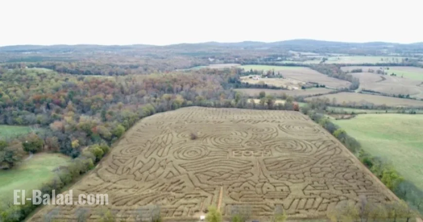 Virginia Corn Mazes Shut by Award-Winning Farmer After Visitor Dispute