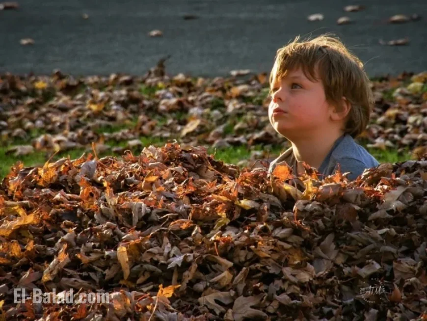 Severe Weather Threatens Thursday, Friday, and Halloween Celebrations