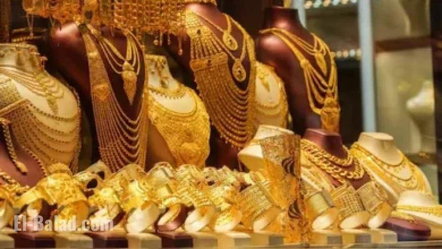 Afghan Professor Protests Outside Parliament Against Children’s Deportation