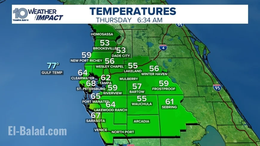 Tampa weather this week: cool mornings, sun-drenched afternoons, brief shower chance Monday