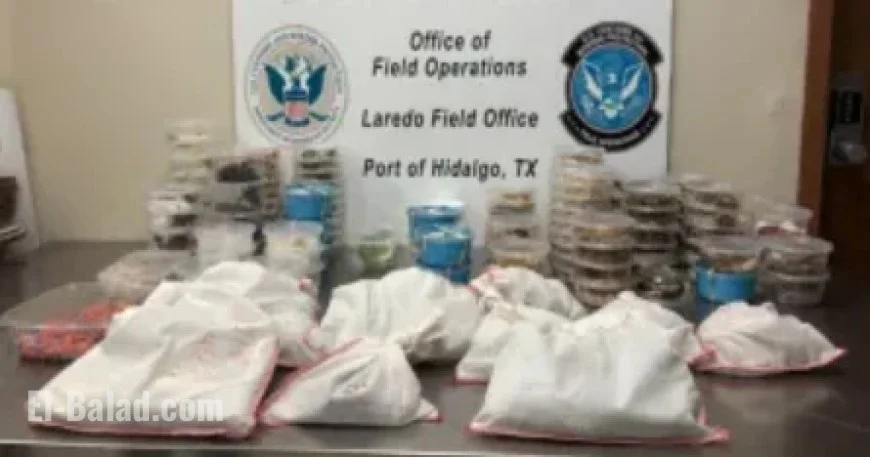 163 Exotic Animals, Including Pythons and Tarantulas, Seized at U.S.-Mexico Border