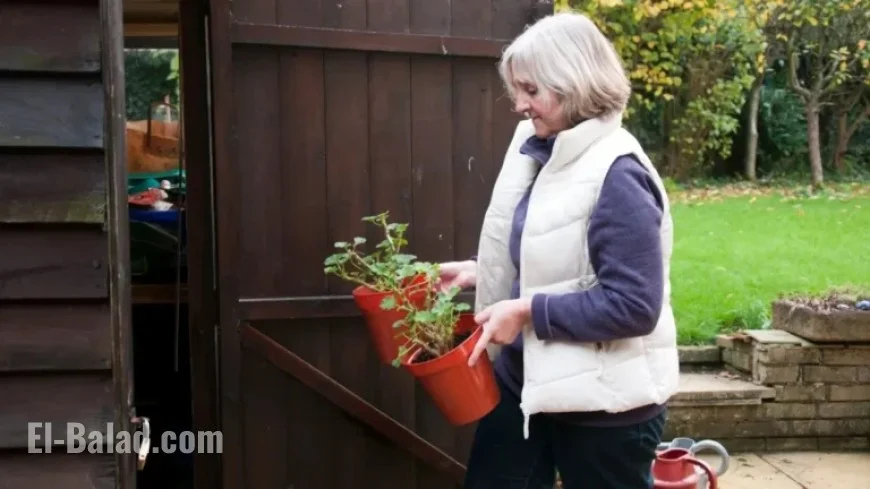 Extend Your Summer Garden’s Life: Essential Steps for Year-Round Health