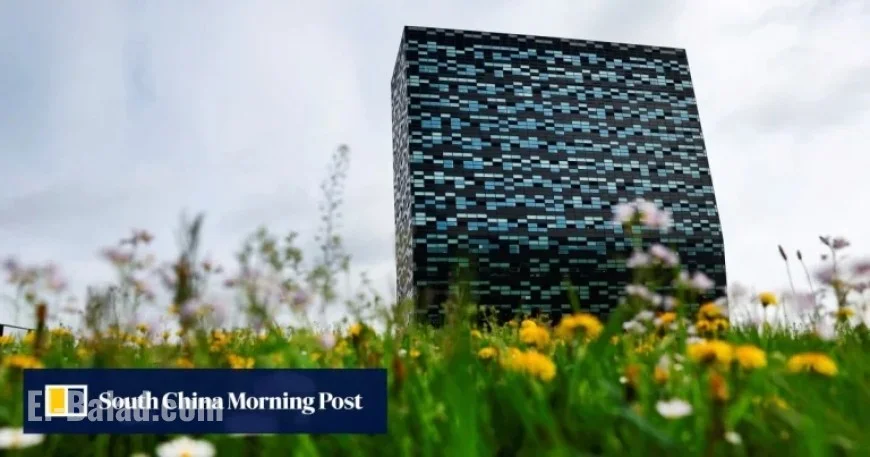 Netherlands Pressured to Relinquish Nexperia Control After Xi-Trump Summit