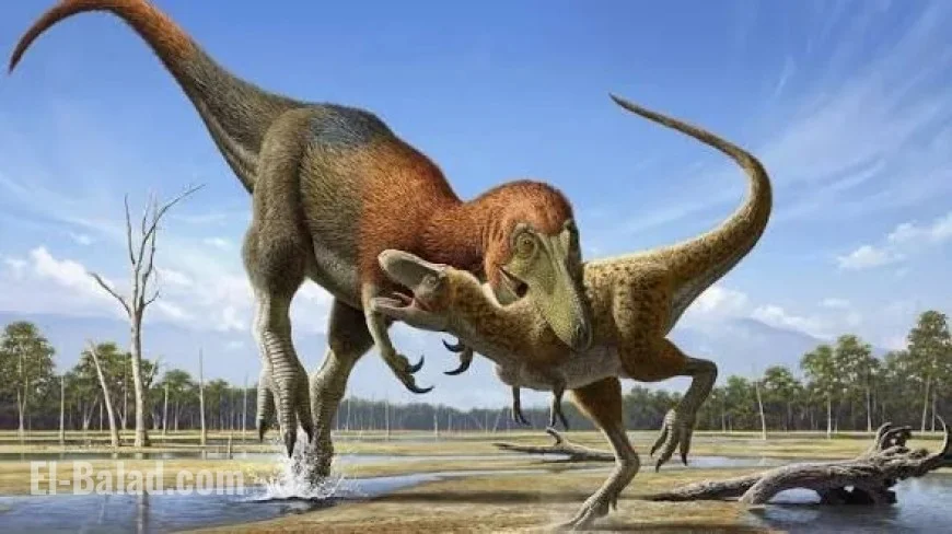 Nanotyrannus dinosaur debate upended: new study says the “mini tyrant” was real and lived alongside T. rex