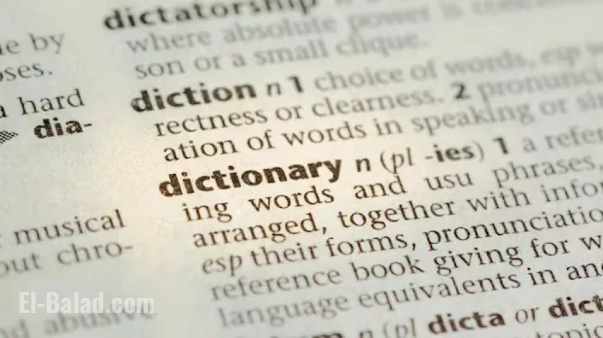 Dictionary.com Names ‘6-7’ Word of the Year, Sparking Confusion