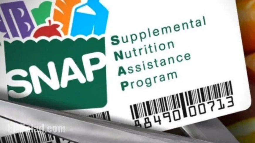 SNAP benefits, EBT access, and the shutdown: what changes November 1—and what to do now