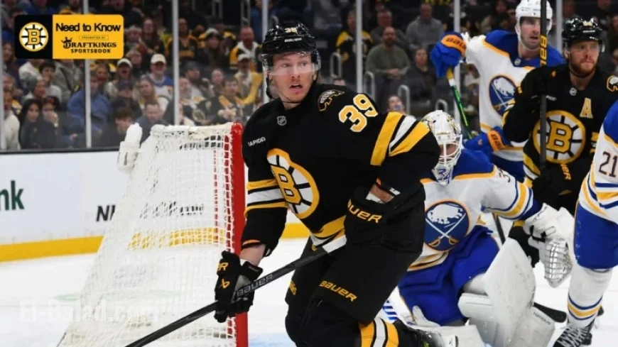 Bruins Face Sabres: Essential Match Insights