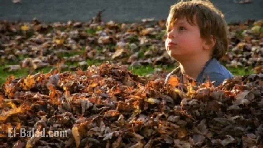 Predicted Lineup for October 30 Showdown Against NY Islanders