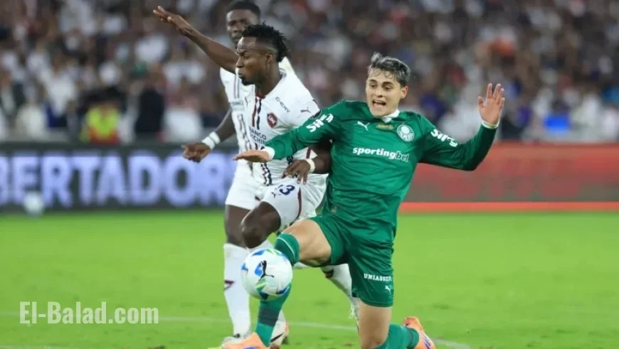 Palmeiras vs. LDU Quito: Copa Libertadores Betting Odds and Predictions