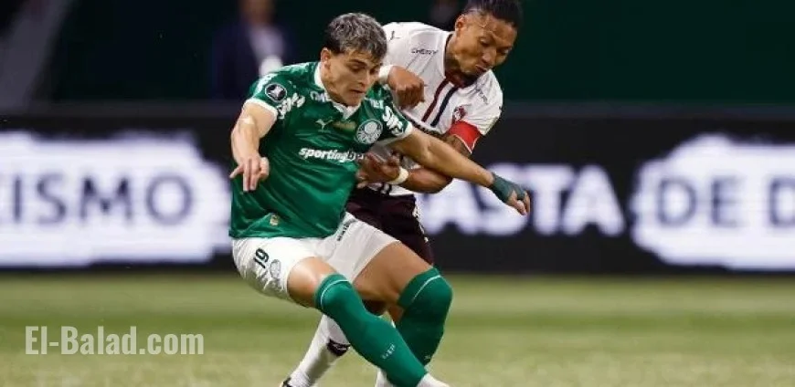 Palmeiras vs. LDU: Watch Top Highlights from the Libertadores Match