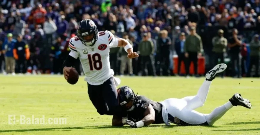 Week 8 Rookie Report: Ravens Triumph Over Bears