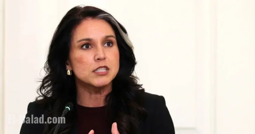 FBI Criticizes Proposal to Appoint Gabbard for Counterintelligence Lead