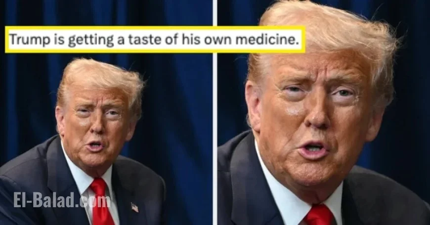 State SNAP Websites Challenge Trump Administration Policies Online