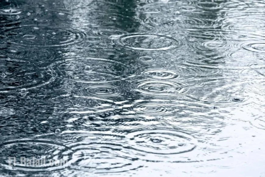 Windy Morning Showers Expected in Waterloo Tomorrow