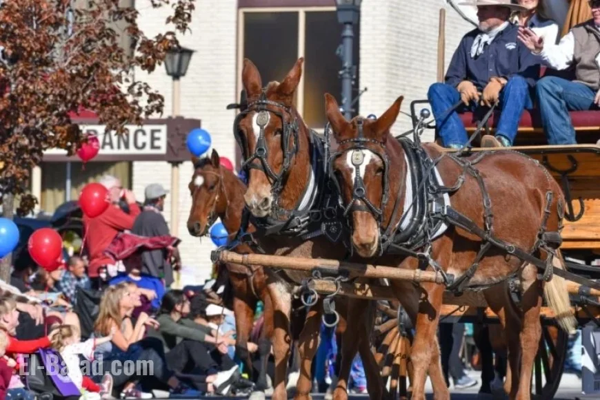 Nevada Day Parade 2025 Lineup Revealed