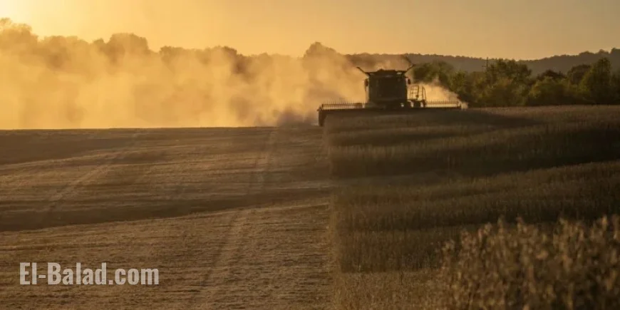 Trump’s China Soybean Deal Falls Short of Full Victory – Barron’s