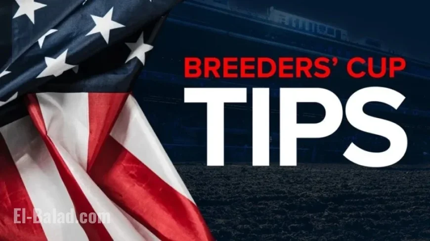 Breeders’ Cup: Expert Picks for Friday’s Top Bets