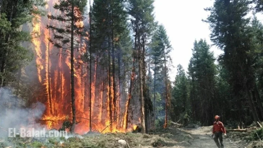 US Officials Address Wildfires with Canadian Government