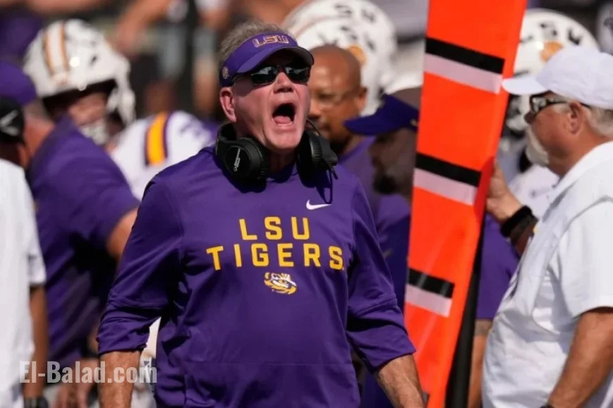 LSU Students Respond to Brian Kelly’s Dismissal