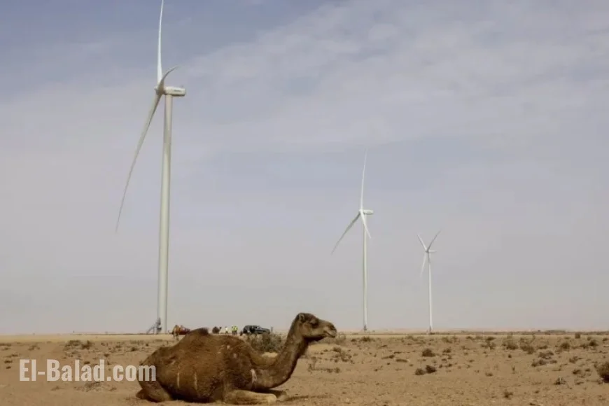 Morocco Secures Diplomatic Victory at UN over Western Sahara