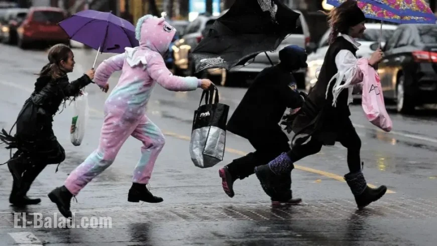 Heavy Rain Persists: 20mm Expected This Evening