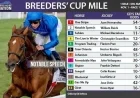 Japan Seeks Double Victory in Breeders’ Cup Classic and Mile