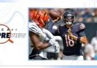 Bears vs. Bengals 2025 Week 9 Game Preview