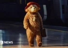 “Paddington The Musical Unveils Vibrant Singing and Dancing Star”