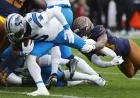Panthers and Vikings Emerge as Top 2025 Underdog Winners