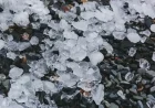 Hail Insurance Claims Remain Average This Year