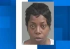 Charleston County Woman Charged with Insurance Fraud