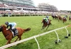 Melbourne Cup: Experts Surprised as Winner Backs Defy Predictions