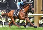 Half Yours Claims Victory at Australia’s Prestigious Melbourne Cup