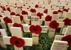 BBC Commemorates Remembrance Week 2025