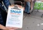 Trump Announces SNAP Benefits Delay, Fueling Confusion Amid Shutdown