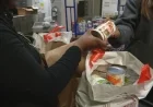 Food Pantries Overwhelmed in Kentucky, Indiana Amid SNAP Benefit Delays