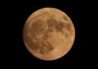 2025’s Closest Supermoon: Full Hunter’s Moon Shines Brightest