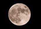 Supermoon of the Year: Bright Beaver Moon Shines This Week