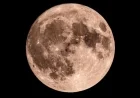 November 4 Moon Phase: Discover Today’s Lunar Appearance